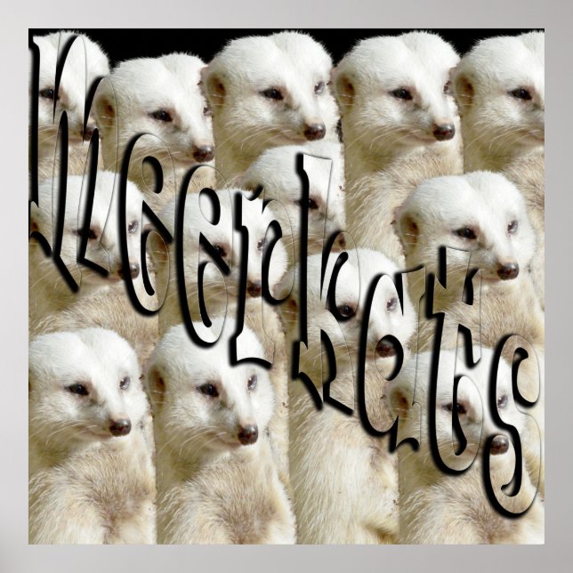 Póster Ejército Y Logo Del Meerkat Blanco, (Frente)