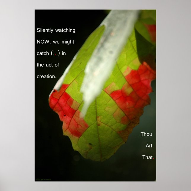 Póster El acto de creación (Frente)