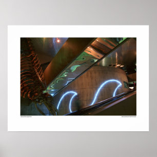 Póster El acuario de Baltimore