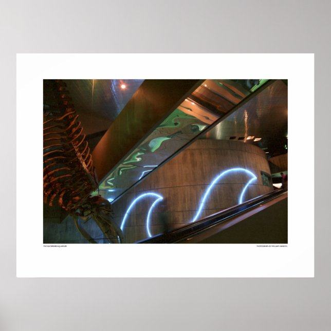 Póster El acuario de Baltimore (Frente)