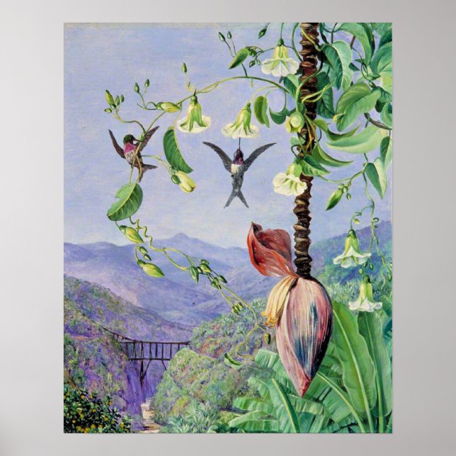 Póster El acueducto de Morro Velho (Frente)