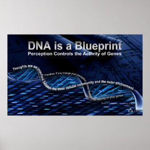 Póster El ADN es un Poster de Blueprint