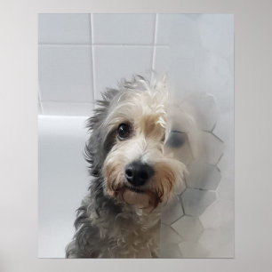 Póster El Adorable Terrible Blanco De La Altiplano Occide