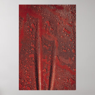 Póster El agua cae sobre la capucha roja