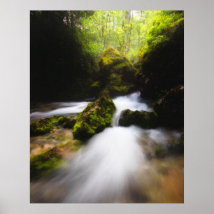 Póster El agua fluye a través del bosque de mezquitas enc