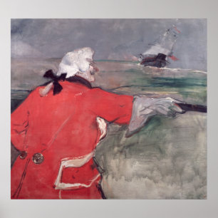 Póster El almirante Viaud