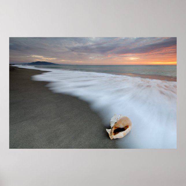 Póster El Amanecer En La Playa Y La Concha (Frente)