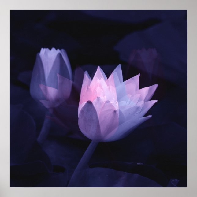 Póster El amor a las mentiras...... (Frente)