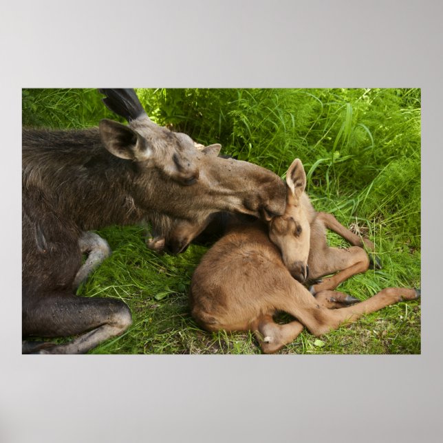 Póster El amor de una madre (Frente)