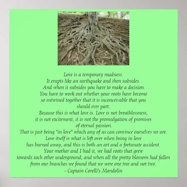 Póster El Amor Es. (Frente)