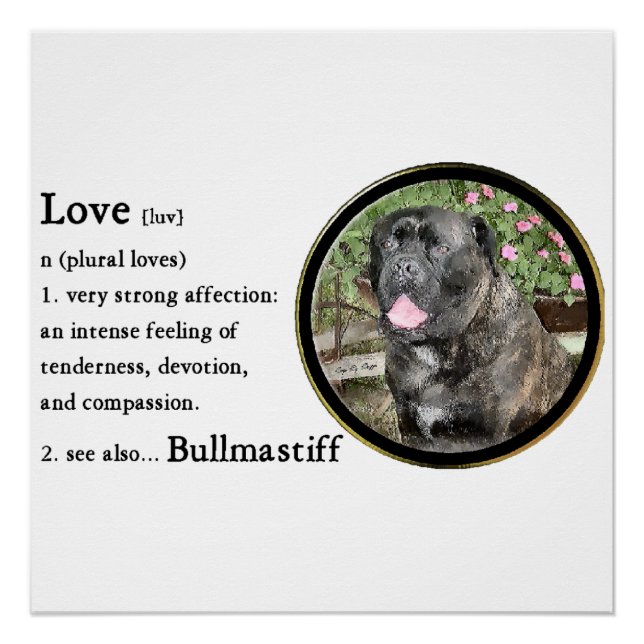 Póster El amor es bullmastiff (Anverso)