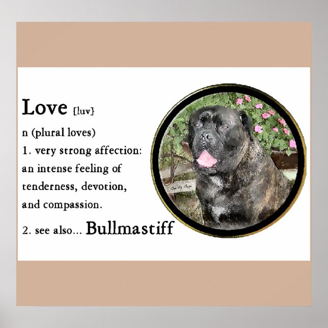 Póster El amor es bullmastiff (Frente)