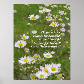 Póster El amor es hermoso