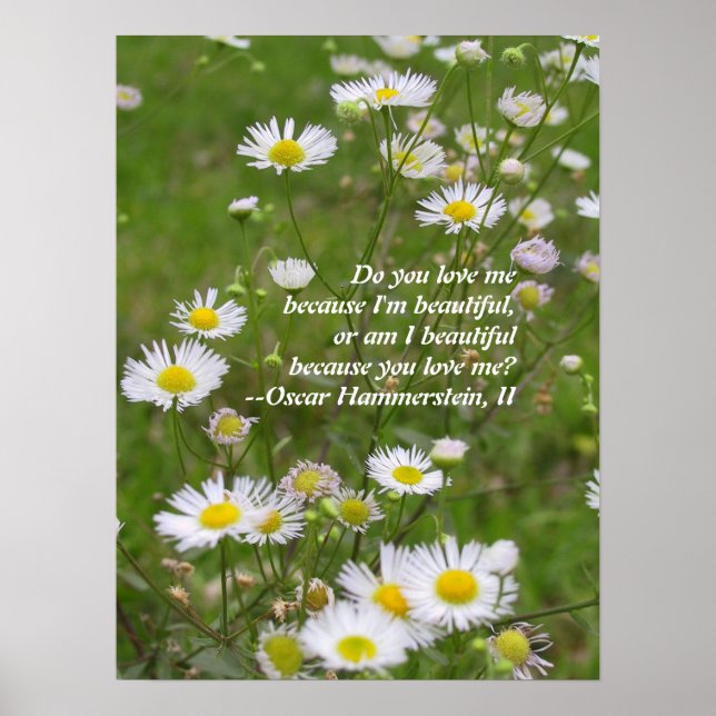 Póster El amor es hermoso (Frente)