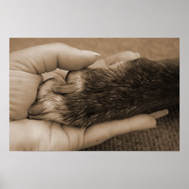 Póster El amor es incondicional (Frente)