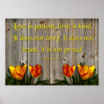 El amor es paciente