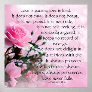 Póster El amor es paciente