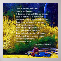 El amor es paciente: Pareja en el parque