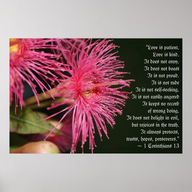Póster El amor es paciente Versículo de la Biblia Regalo  (Frente)