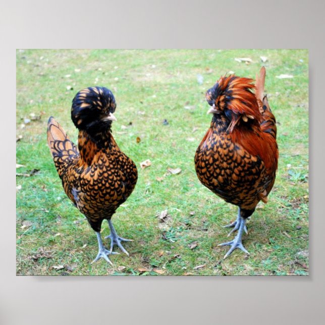 Póster El amor está en el aire (Frente)