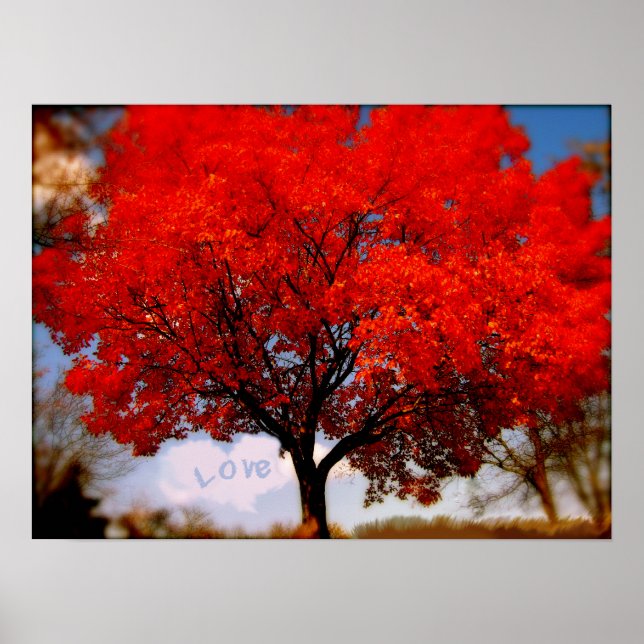 Póster El amor está en el aire (Frente)