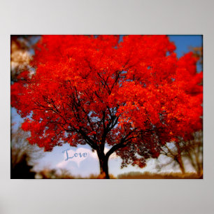 Póster El amor está en el aire