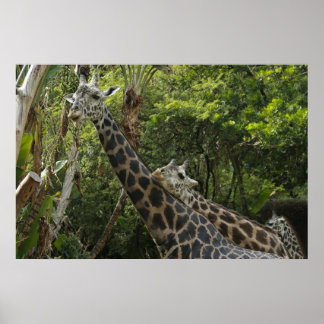 Póster ¡El amor está en el aire