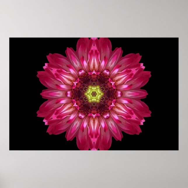 Póster El amor permite a las flores Mandala Poster (Frente)