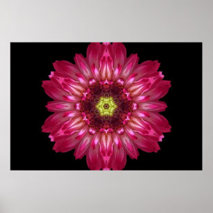 Póster El amor permite el poster de la mandala de la flor