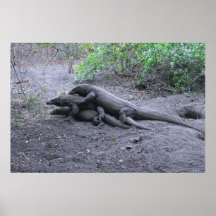 Póster El amor por el dragón