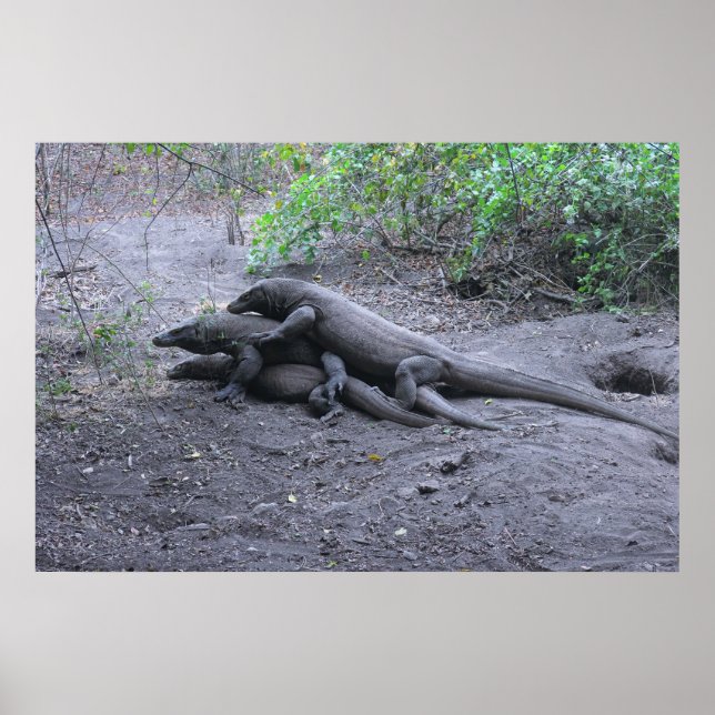 Póster El amor por el dragón (Frente)