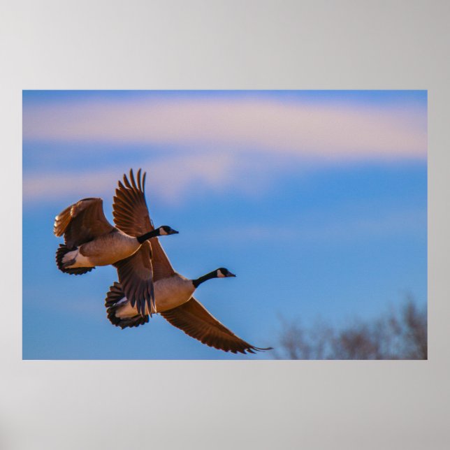 Póster el amor se mantiene unido (Frente)