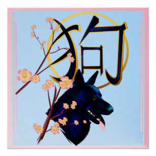 Póster El año del perro--perro negro