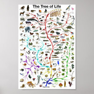 Póster El árbol de la educación vital
