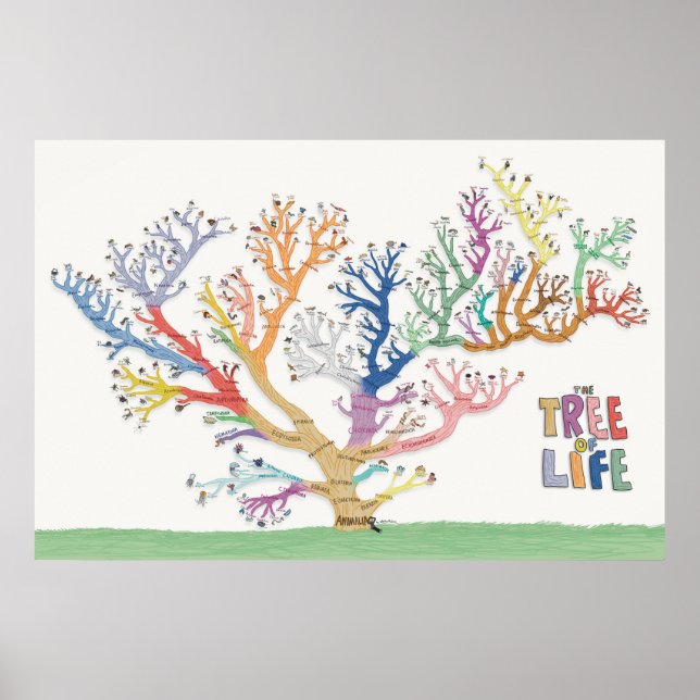 Póster El árbol de la vida (Frente)