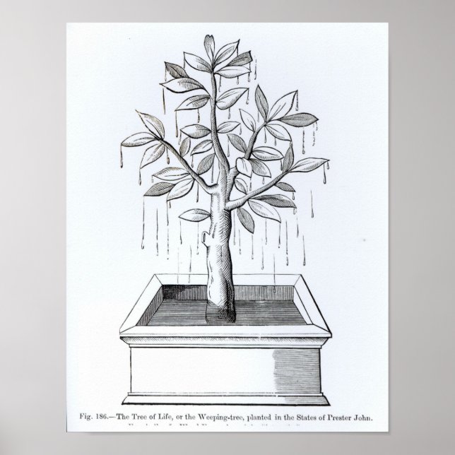 Póster El árbol de la vida, o el árbol lloroso (Frente)