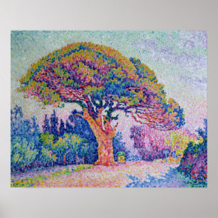 Póster El árbol de pino en St Tropez, 1909