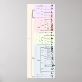 Póster El árbol de yum: Animalia imprime