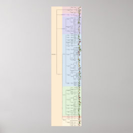 Póster El árbol de yum: Plantae