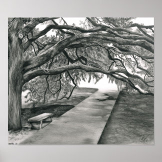 Póster El árbol del siglo