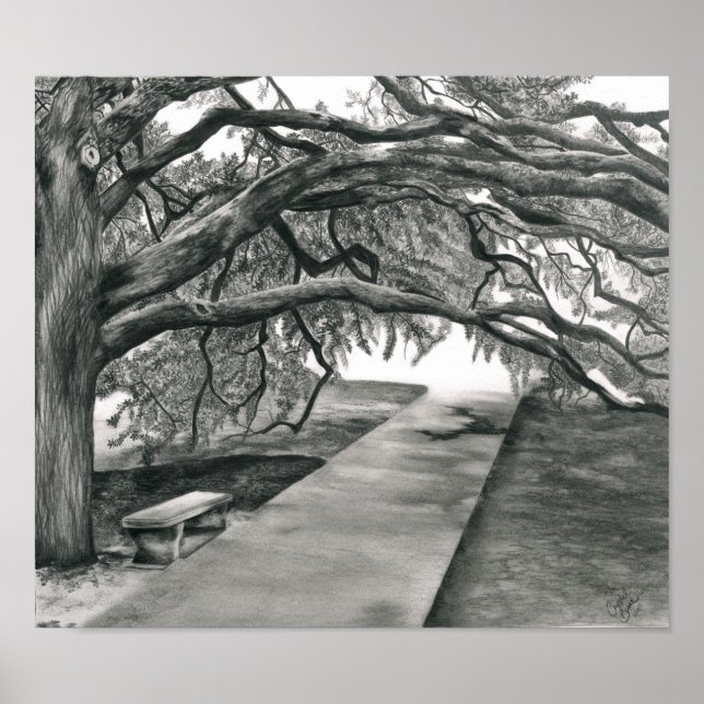 Póster El árbol del siglo (Frente)