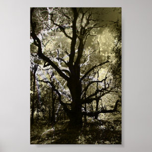 Póster El árbol frecuentado