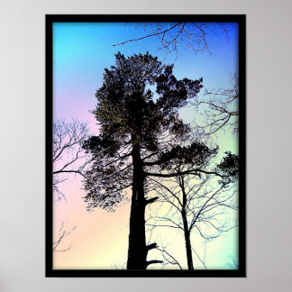 Póster El árbol más grande