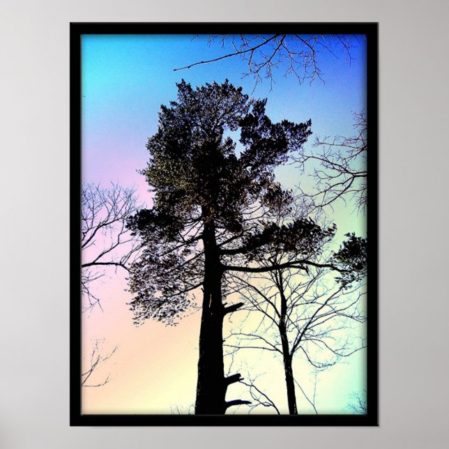 Póster El árbol más grande (Frente)