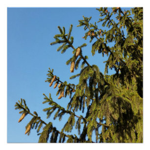 Póster El árbol para los Navidades