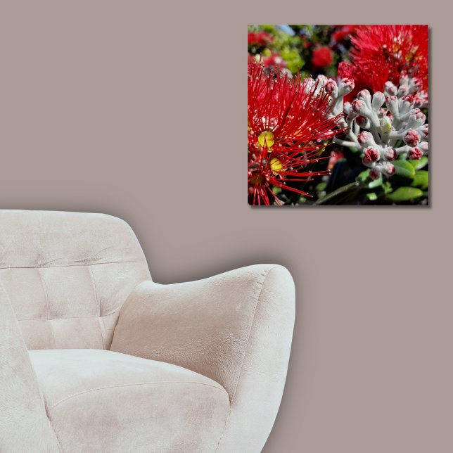Póster El árbol Pohutukawa de Nueva Zelanda (New Zealand Pohutukawa Tree Red Blossom Poster, Living Room)