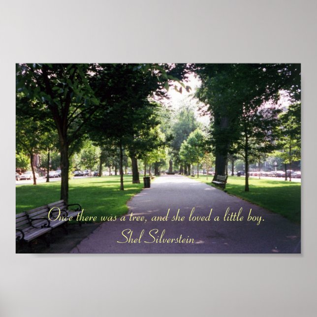 Póster El Árbol que da (Frente)