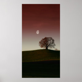 Póster El árbol solitario y la luna clara