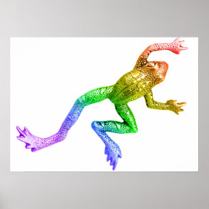 Póster El arco iris de la rana del orgullo de SlipperyJoe