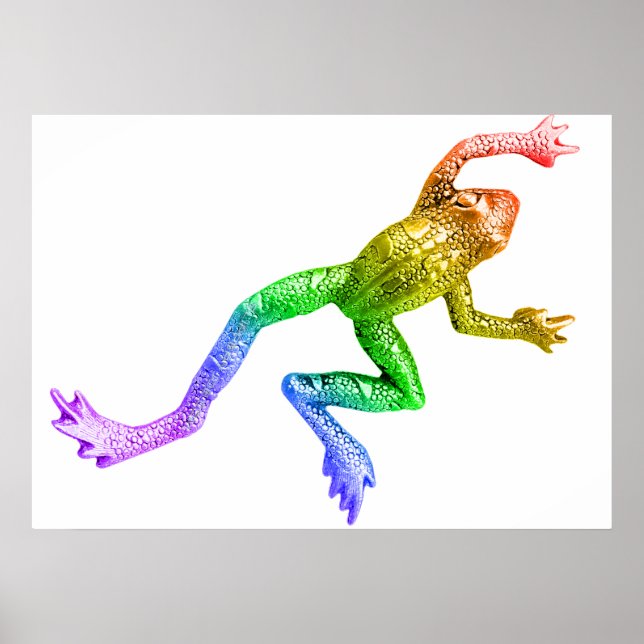 Póster El arco iris de la rana del orgullo de SlipperyJoe (Frente)